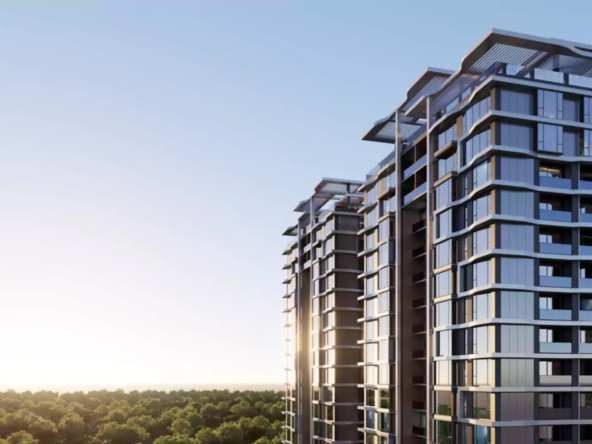 whatsapp-image-2024-09-02-at-164601-6752d3d5b4252